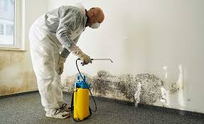 Professional Mold Removal & Remediation in Woodbury Center, CT